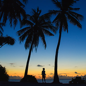 Palmiers sur fond de coucher de soleil aux maldives