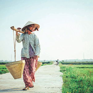 Palmiers sur fond de coucher de soleil aux maldives